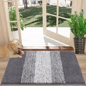 Indoor Doormat