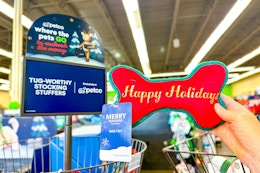 petco-holiday-finds-2025