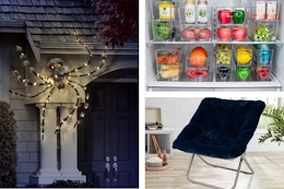 Fridge Organization, Saucer Chair, Halloween, and More Sam's Club Clearance card image