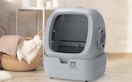 a self-cleaning litter box in a room