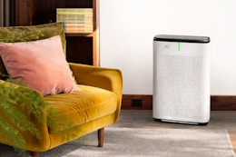 Lowe's Brondell HEPA air purifier