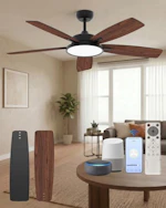 Smart Ceiling Fan