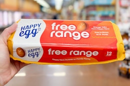 hand holding a pack of happy egg co eggs