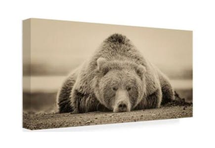 Trademark Fine Art Canvas