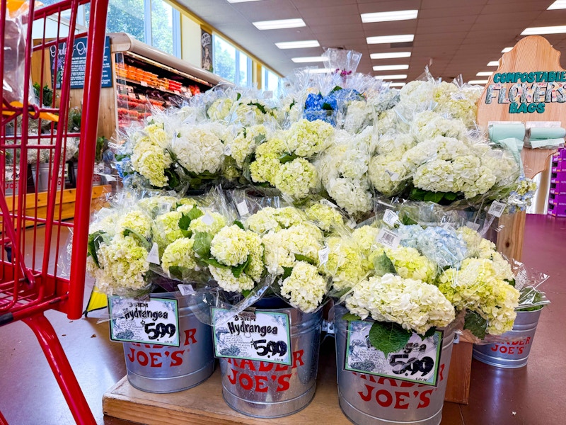 trader-joes-july-12