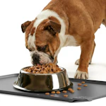 Pet Feeding Mat