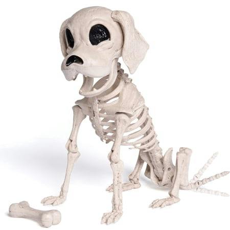Skeleton Dog