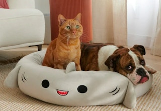 shark squishmallow pet bed with dog and cat laying in it