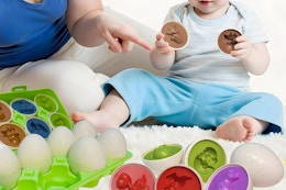 amazon Dinosaur Matching Eggs