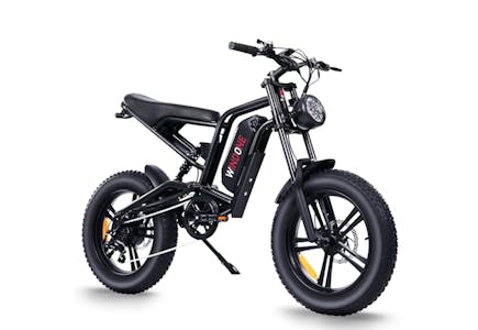 Adult Electric Bike