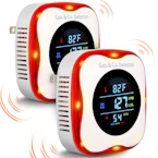 Gas and Carbon Monoxide Detector 2-Pack