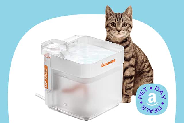  Cat Water Fountain, Just $9.99 With Amazon Promo Code card image