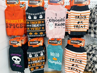 halloween pet sweaters from five below