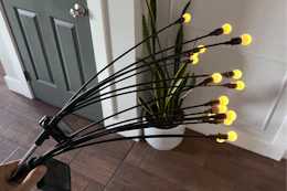 a hand holding solar garden lights