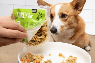 a dog with Get Joy dog food