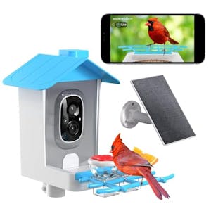 Smart Bird Feeder with Camera