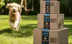 amazon-pet-day-26-12