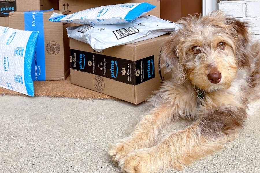 amazon-many-boxes-packages-porch-dog-53-feature-kclamazon