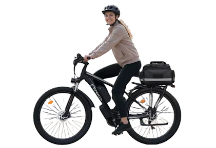 Electric Bicycle