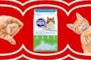 Stock image of the Cats Pride Crystal Litter Bag with 2 orange cats