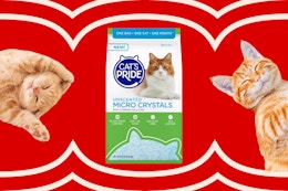 Get a Bag of Cat’s Pride Litter for $11.84 After Walmart Cash (Online Only) card image