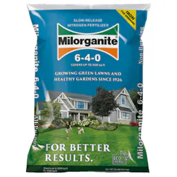 Lawn Food 2-Pack