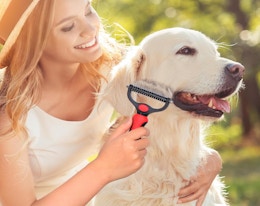 Deshedding Pet Brush and Comb, Now $6.99 on Amazon card image