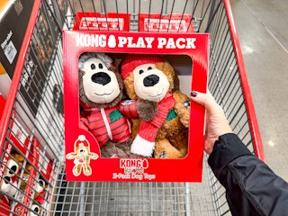 costco-kong-dog-toys-1