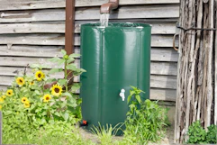 rain barrel