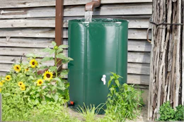 rain barrel