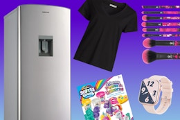 Farberware fridge, No Boundaries tee, Softee dough, smartwatch, and makeup brushes