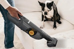 shark pet vacuum