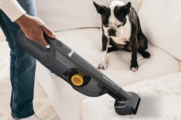 shark pet vacuum