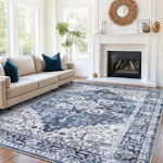 Area Rug