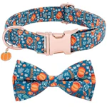 Fall Dog Collar with Bow Tie