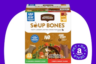 rachel ray soup bones