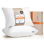 Bedsure Pillows 2-Pack