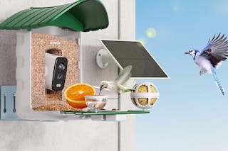 a bird feeder outdoors