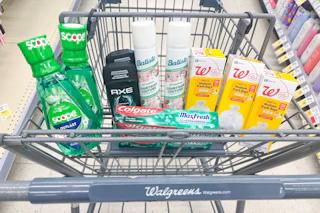 walgreens groceries in a shopping cart