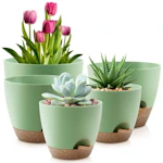 Self-Watering Plant Pots