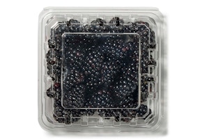 Blackberries