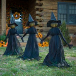 LED Lighted Witch 3-Pack