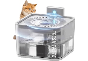 Pet Water Fountain