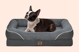 Large Orthopedic Dog Bed, Just $23.21 for Amazon Pet Day card image