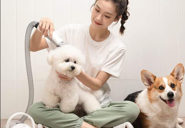 Save 70% on a Pet Grooming Vacuum Kit at Walmart — Only $60 (Reg. $200) card image