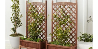 bcp planet set feature 1680180094 1680180094