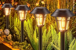 Solar Pathway Lights 10-Pack, Only $19.99 on Amazon card image