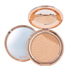 tarte Amazonian Clay Powder Foundation