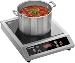 Portable Induction Cooktop