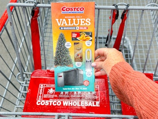 Costco Nov coupon book in cart